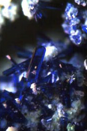 Cristales de azurita transparentes, procedentes de la mina