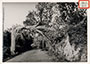 Árbol caído en la carretera, 1937