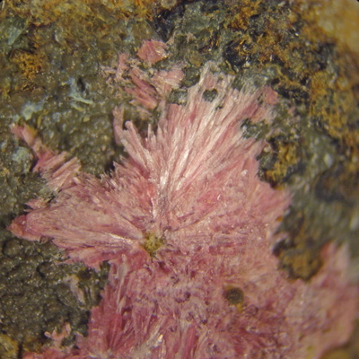 39 - Erythrite (?) - 3 x 3 mm.